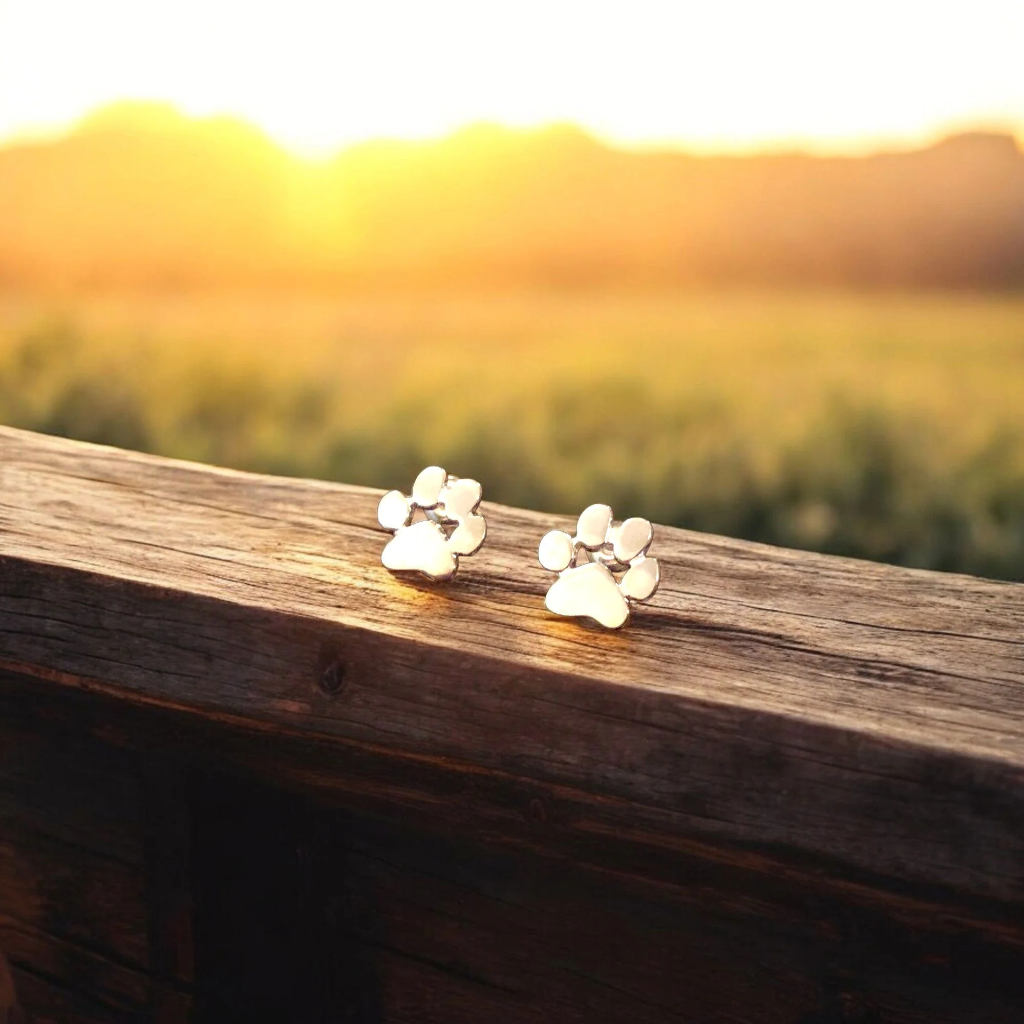 Hypoallergenic Paw Earrings – Made of Stainless Steel - Image 2